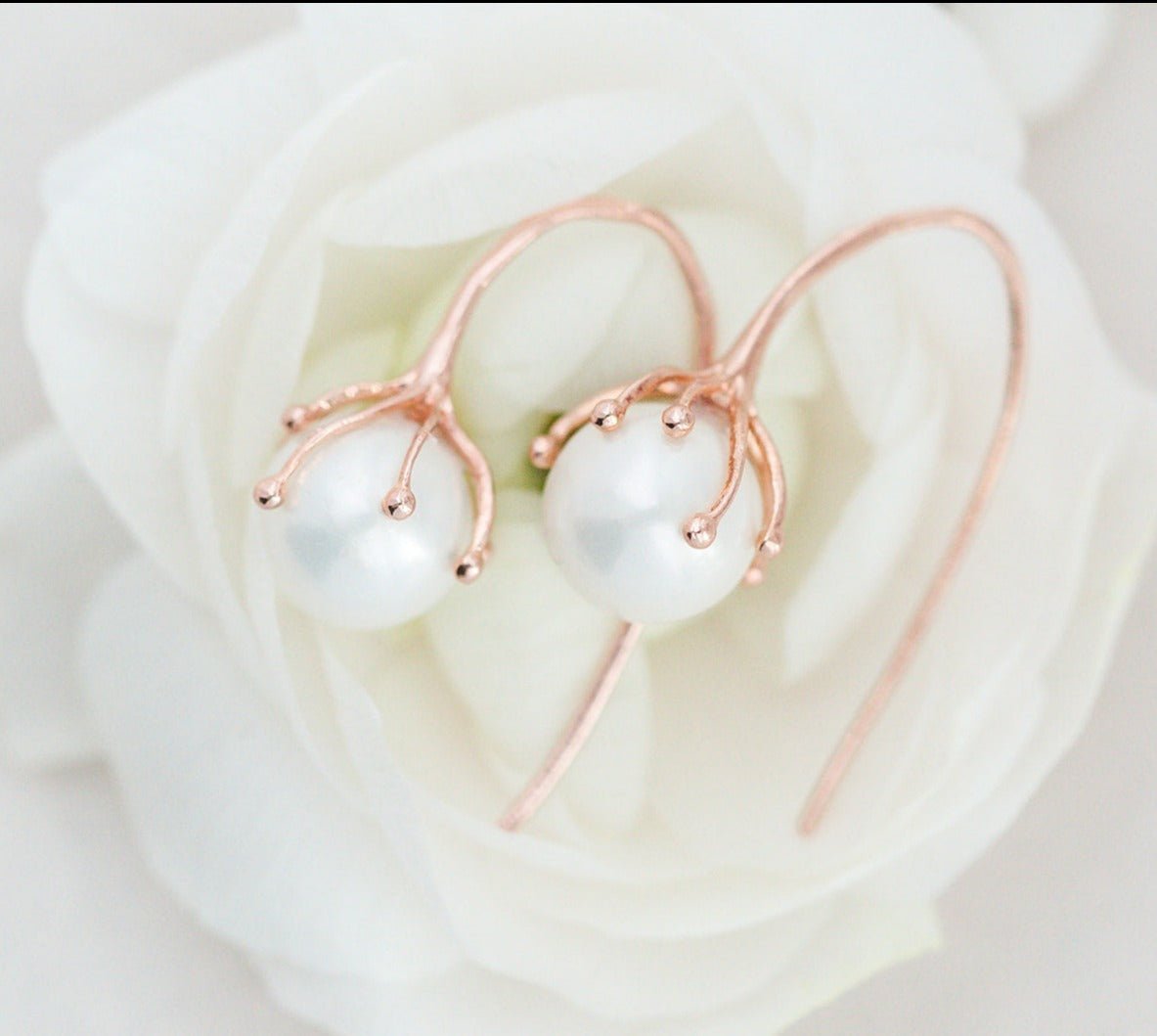 A pair of Rose Gold Bloom Flower Bud Freshwater Pearl Earrings nestled in a white rose. Canadian jewelry business. Organic pearl jewelry. Pearl jewelry Canada. Pearl Bridal jewelry Canada. Gold-filled jewelry Canada.