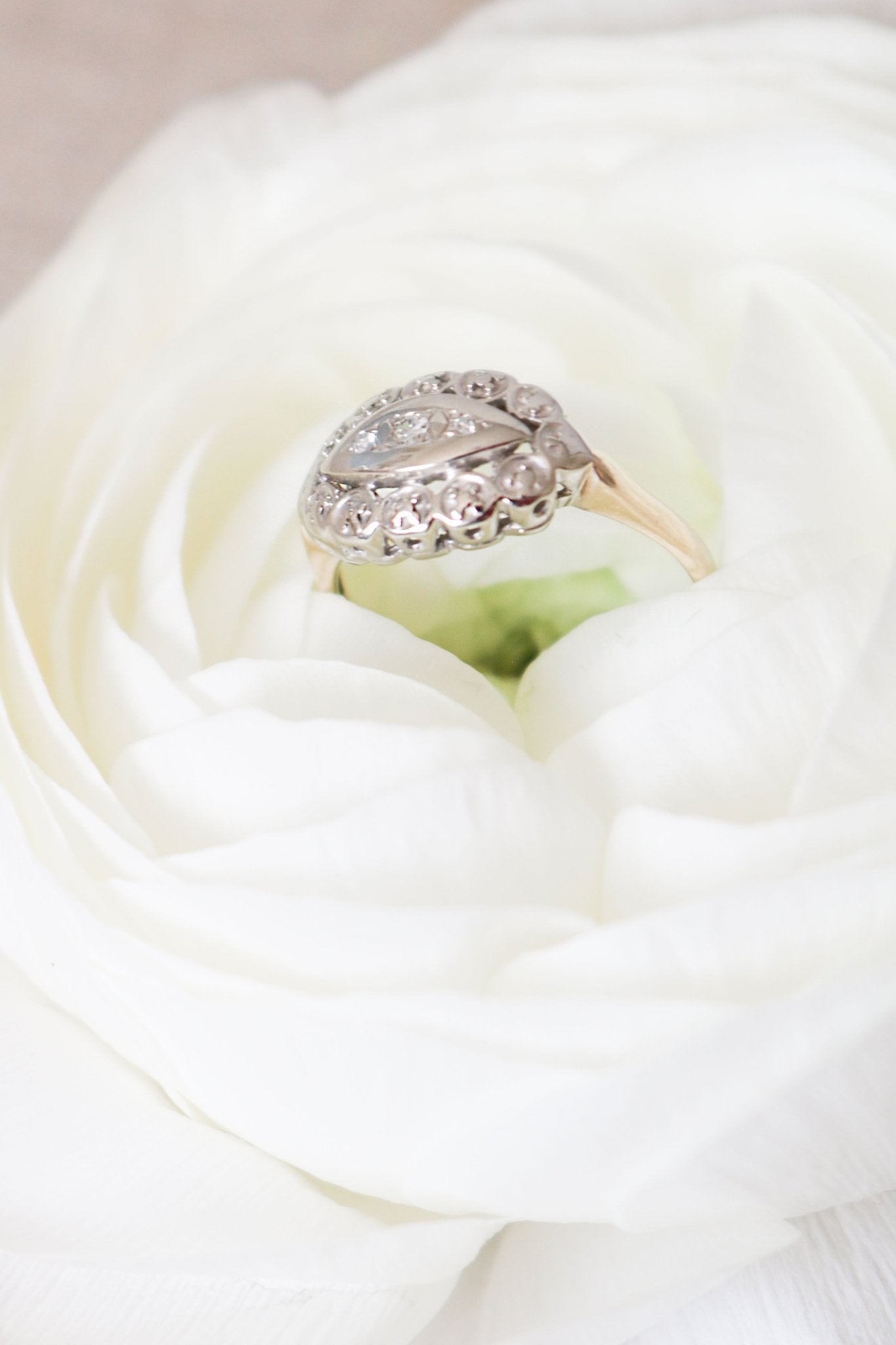 Faye 14ct Gold Art Deco Diamond Engagement Ring circa 1920s sits in a white rose. Canadian jewelry business. Antique Engagement Rings Canada. Canadian vintage engagement rings. Vintage engagement rings Canada. Bridal jewelry Canada. Canadian weddings. Wedding Canada. Canadian bridal jewelry. Woman-owned Canadian jewelry brand.