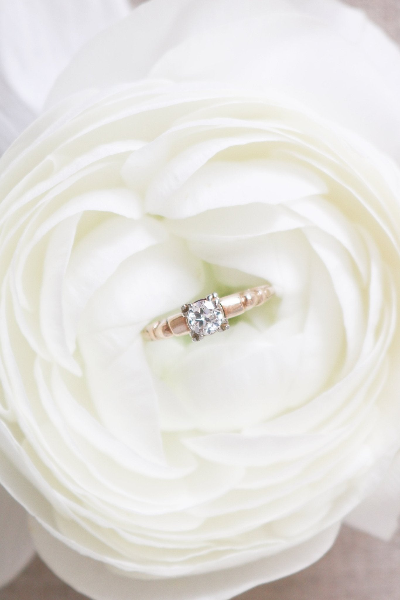 The Lise Diamond Solitaire Engagement Ring in 14ct Gold nestled in a white rose. Antique Engagement Rings Canada. Canadian vintage engagement rings. Vintage engagement rings Canada. Bridal jewelry Canada. Canadian weddings. Wedding Canada. Canadian bridal jewelry. Woman-owned Canadian jewelry brand. Canadian jewelry business.