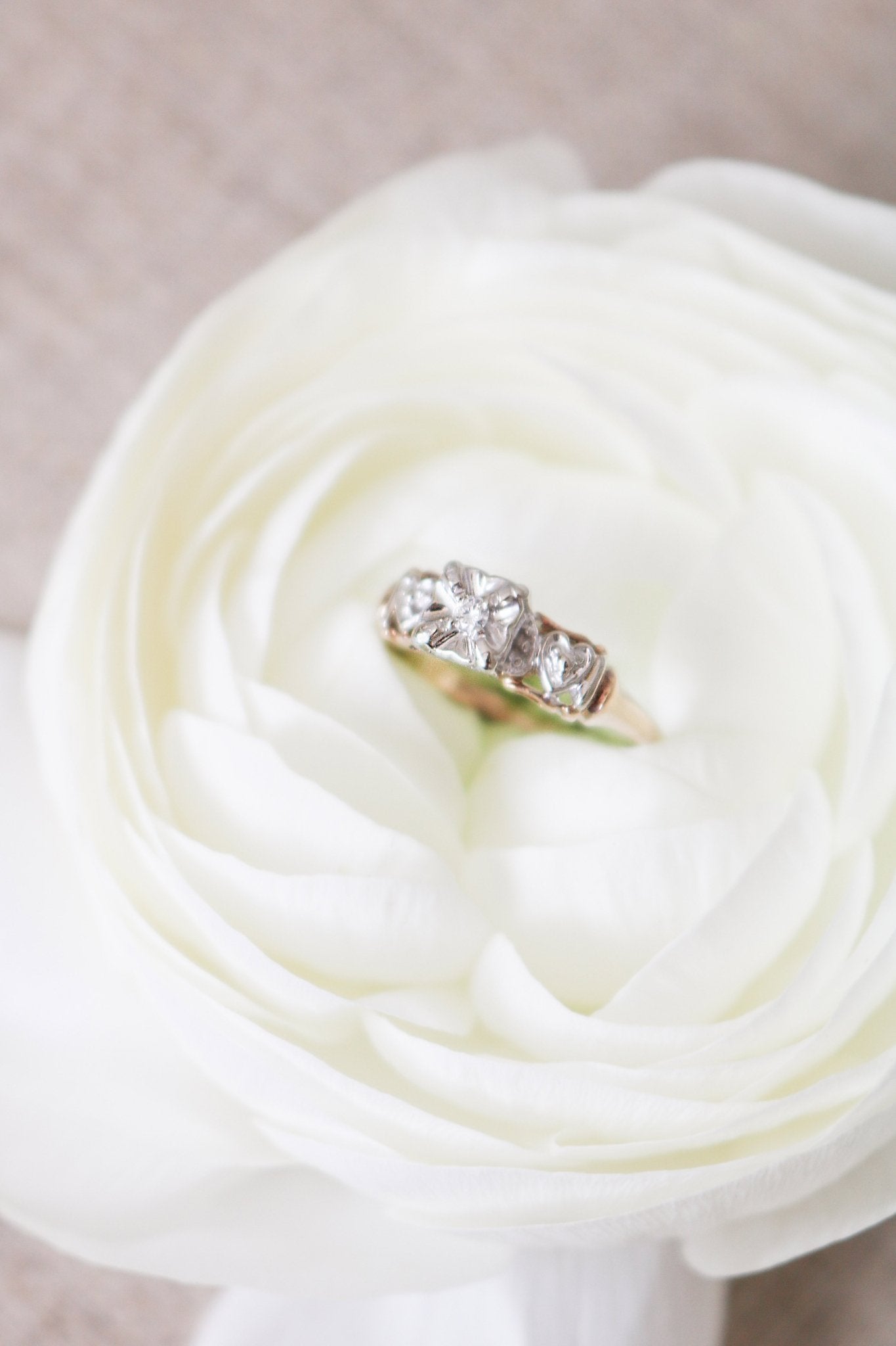 Melisma Art Deco Diamond Heart Engagement Ring in 14ct Yellow and White Gold nestled in a white rose. Antique Engagement Rings Canada. Canadian vintage engagement rings. Vintage engagement rings Canada. Bridal jewelry Canada. Canadian weddings. Wedding Canada. Canadian bridal jewelry. Woman-owned Canadian jewelry brand. Canadian jewelry business.