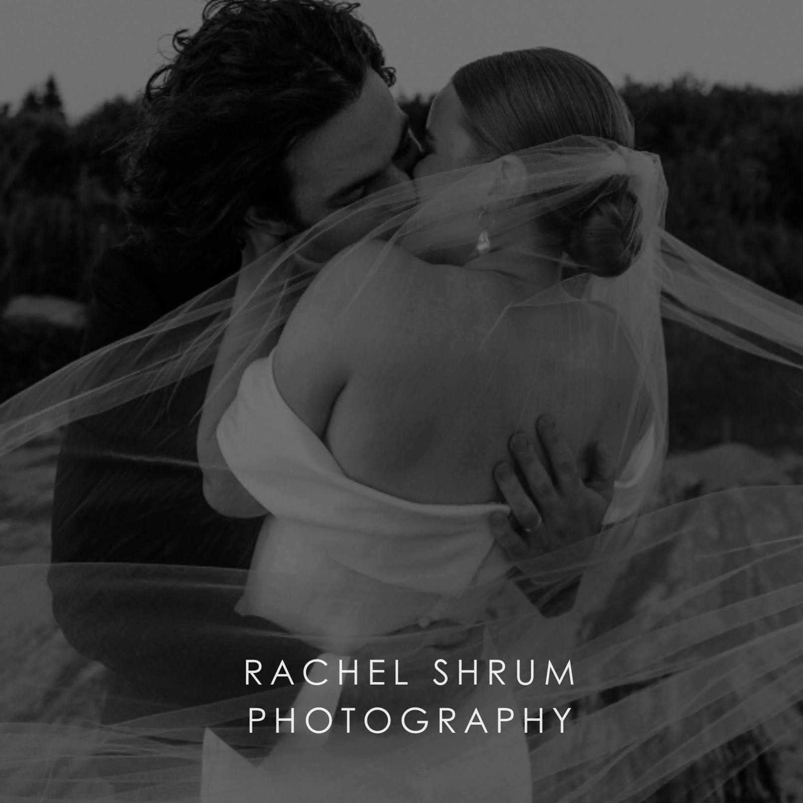 Wind whips the bride's sheer tulle wedding veil around a wedded couple in a passionate embrace/kiss.