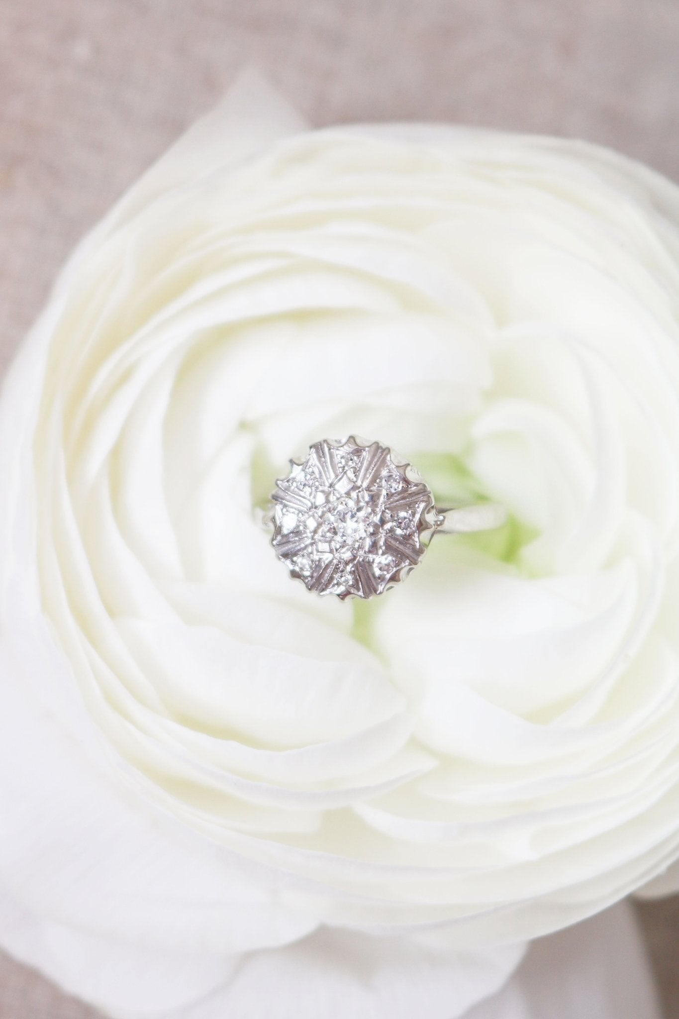 Top view of the Selene Art Deco 14k White Gold Diamond Vintage Engagement Ring nestled in a white rose. Canadian vintage engagement rings. Bridal jewelry Canada. Vintage engagement rings Canada. Canadian weddings. Wedding Canada. Woman-owned Canadian jewelry brand. Canadian jewelry business. Small Canadian jewelry brands.