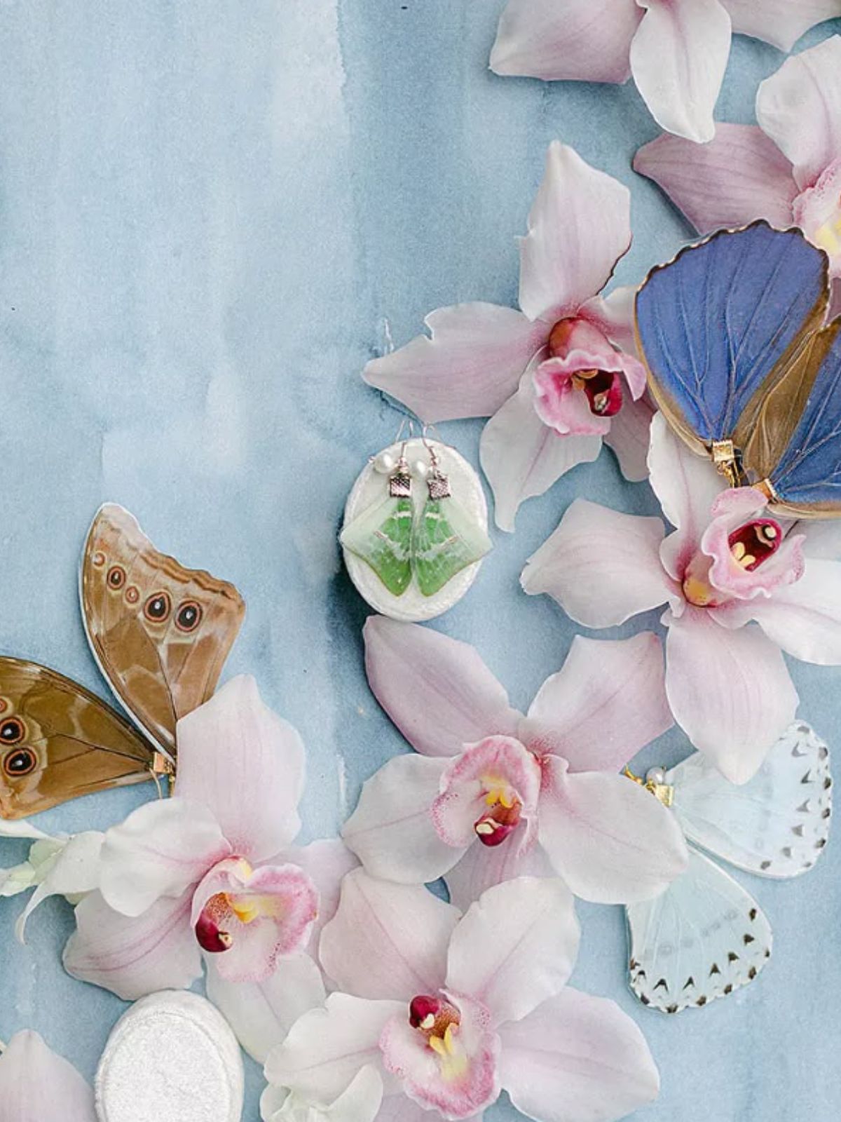 Four sets of butterfly wing earrings and pink orchids on a blue background.