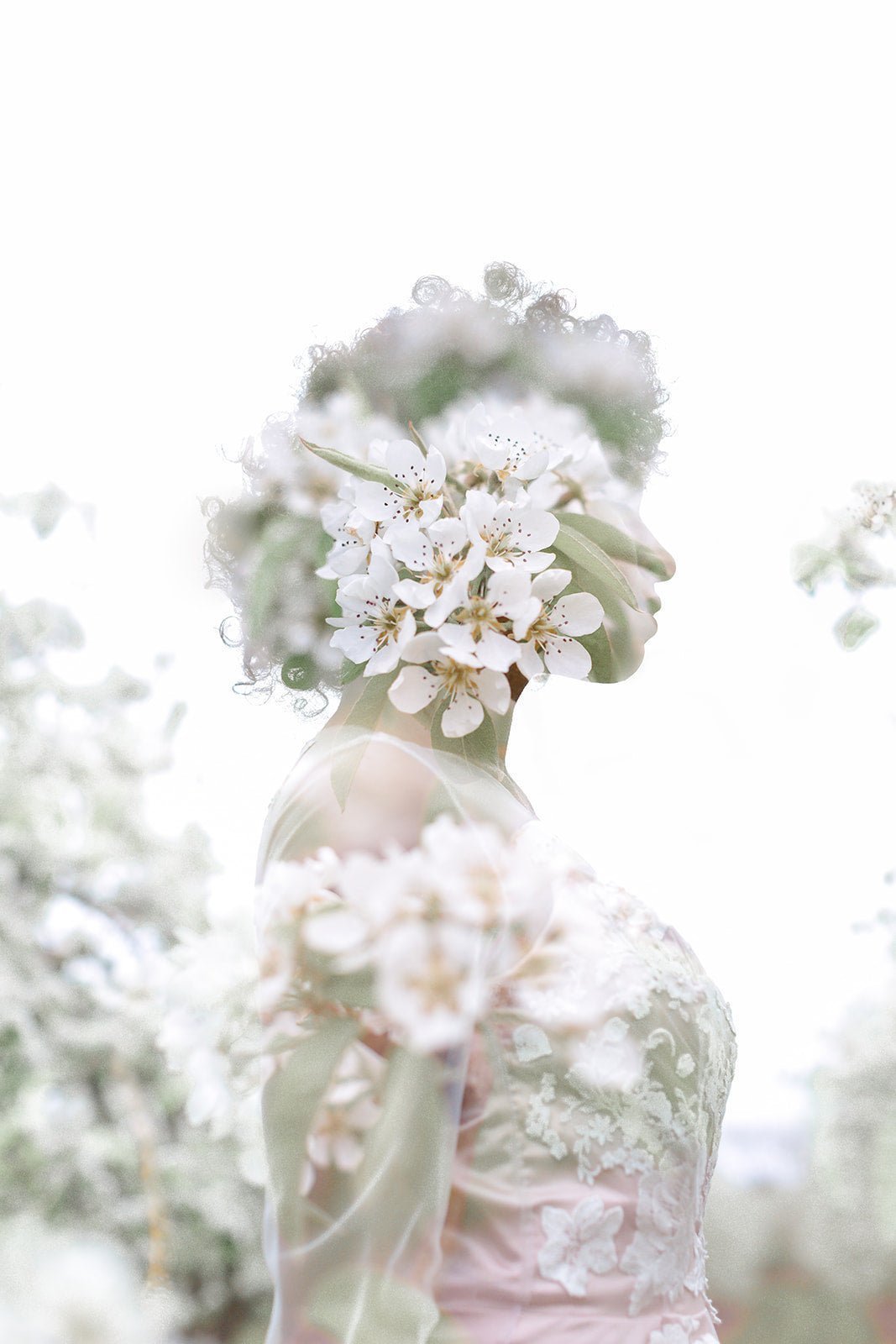 Overlay of white flower blossoms on top of bridal silhouette. 