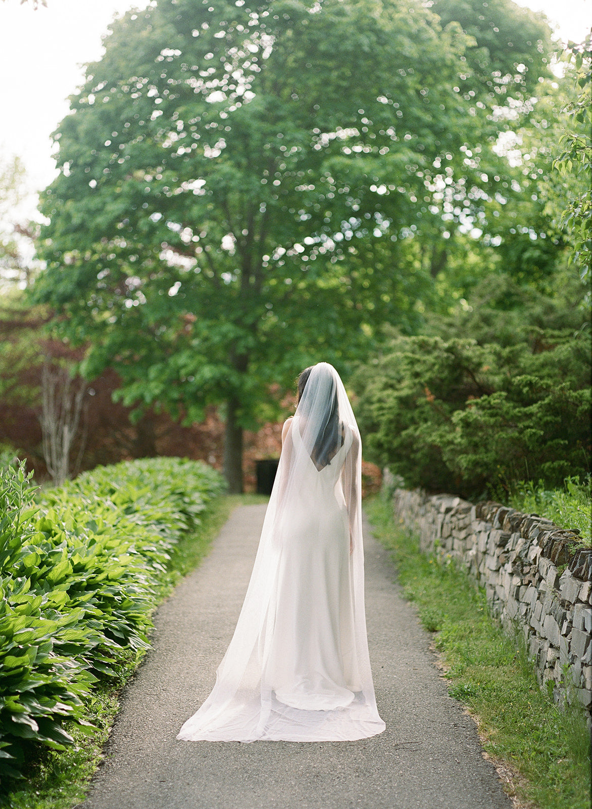 Beloved Traditional Tulle Veil-6