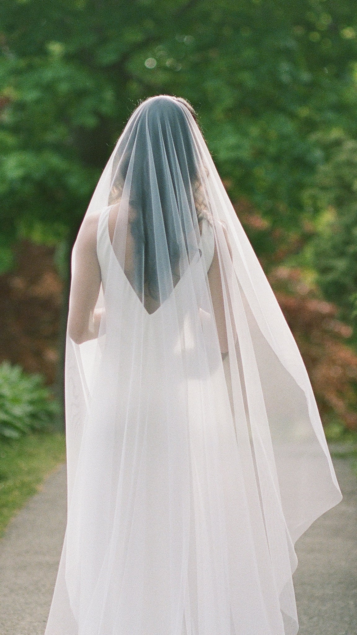 The back of a bride shrouded in a soft tulle wedding veil. 