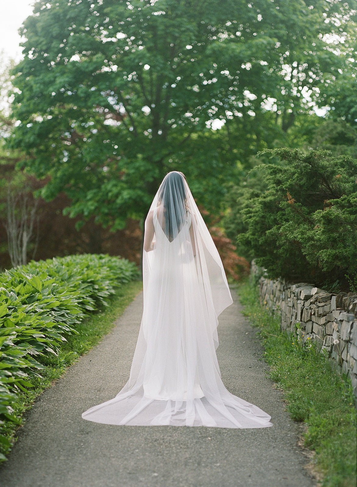 The back of a bride shrouded in a ground-length soft tulle wedding veil. 