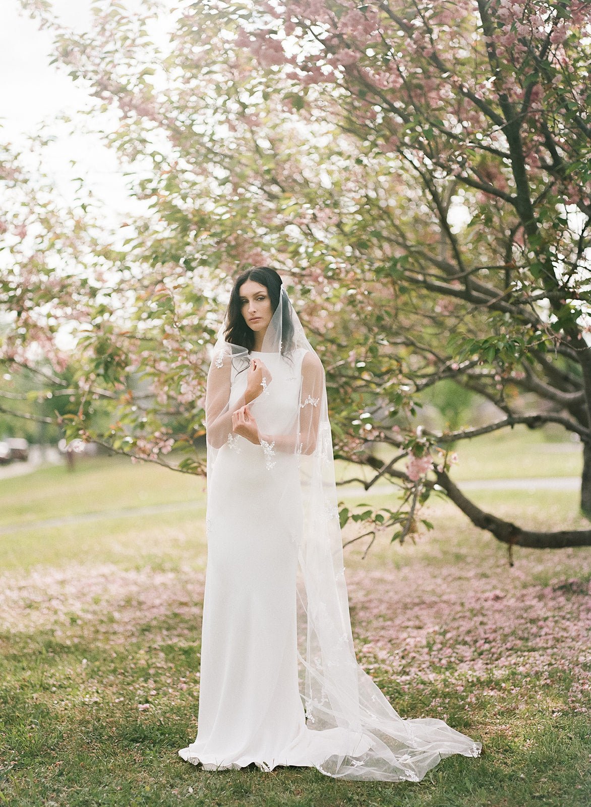 A bride stands under a blossom tree; covering herself with her floral tulle wedding veil. 