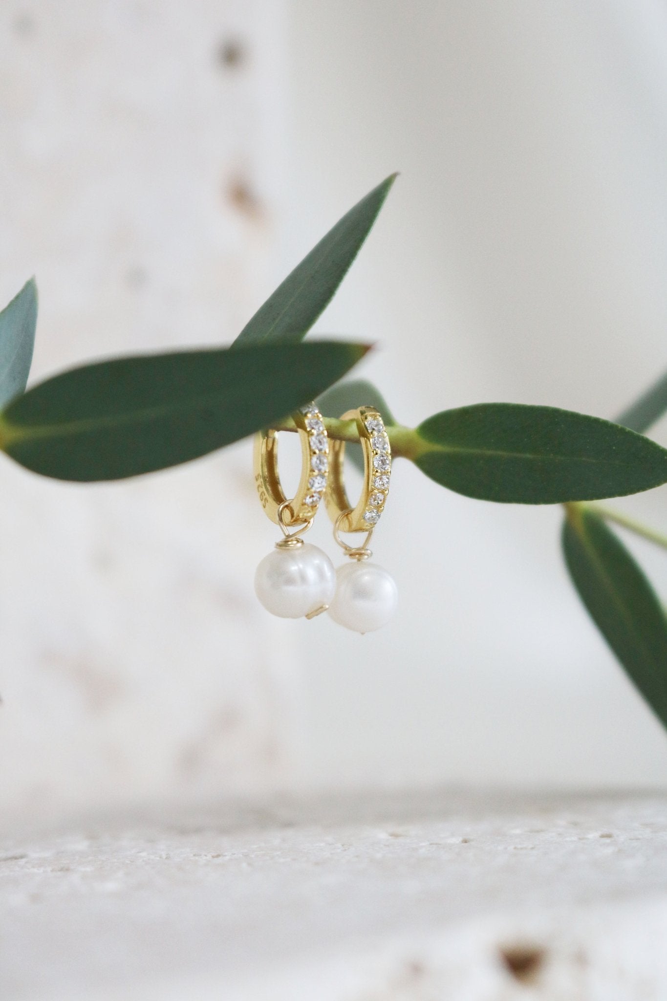 Gold-filled freshwater pearl huggies with cubic zirconia hanging from a branch.