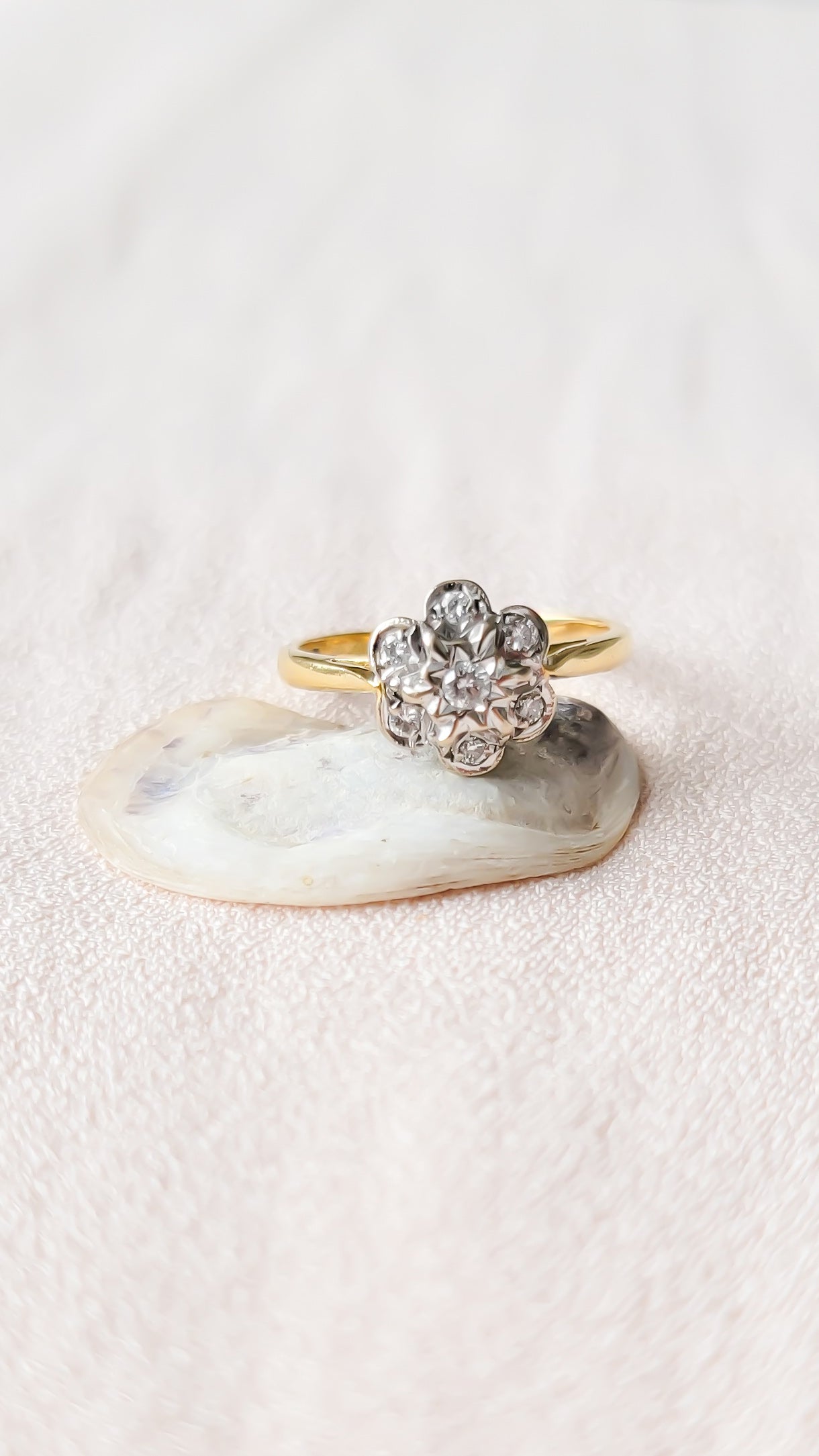 The Posy 18ct Yellow and White Gold Diamond Flower Ring, Art Deco style from the 1930s sits on a seashell. 