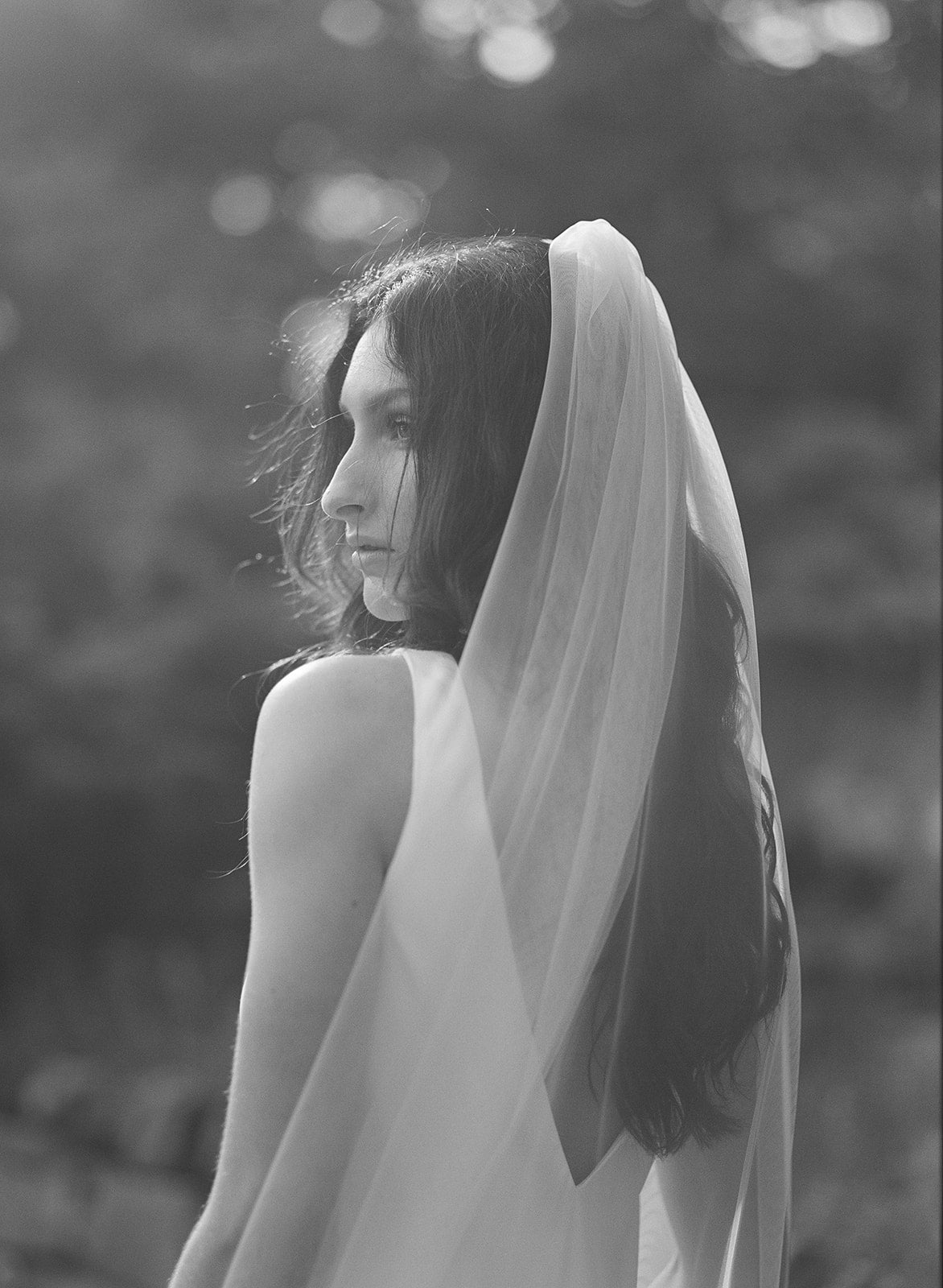 Beloved Traditional Tulle Wedding Veil going down a bride's back in black and white. 