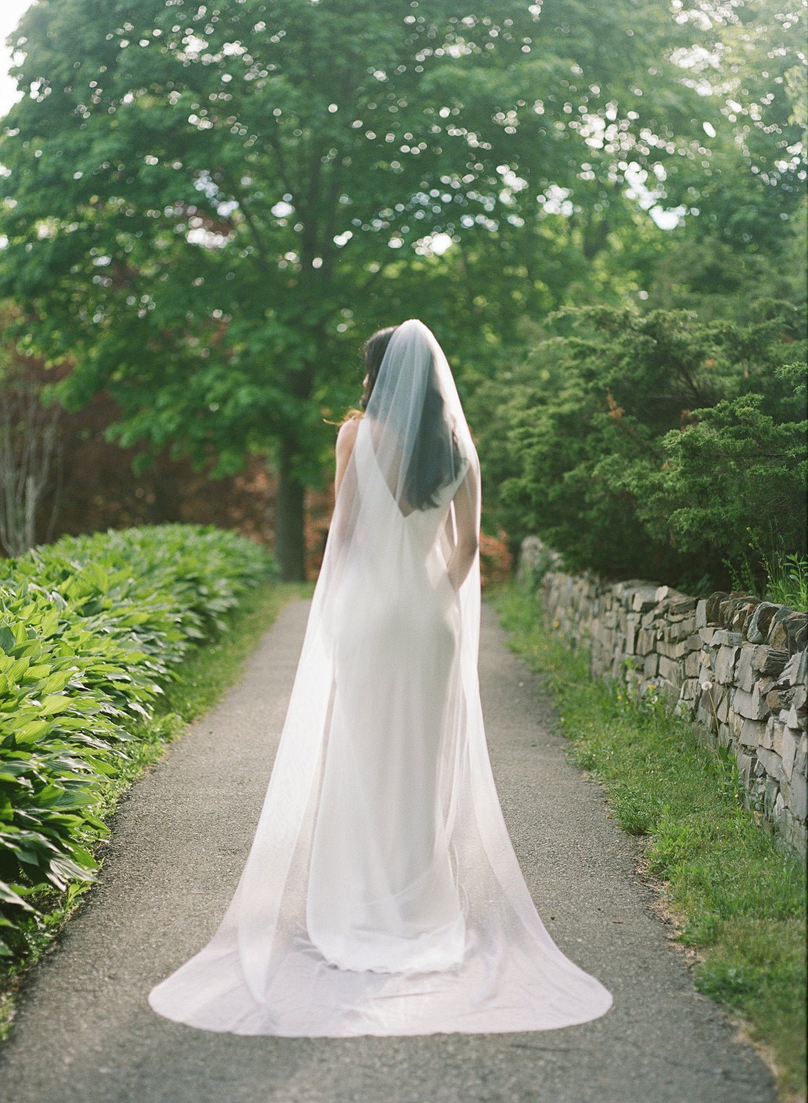 A bride is fully encased by her flowing bridal veil. Viewed from the back, the bride stands on a path amongst greenery.